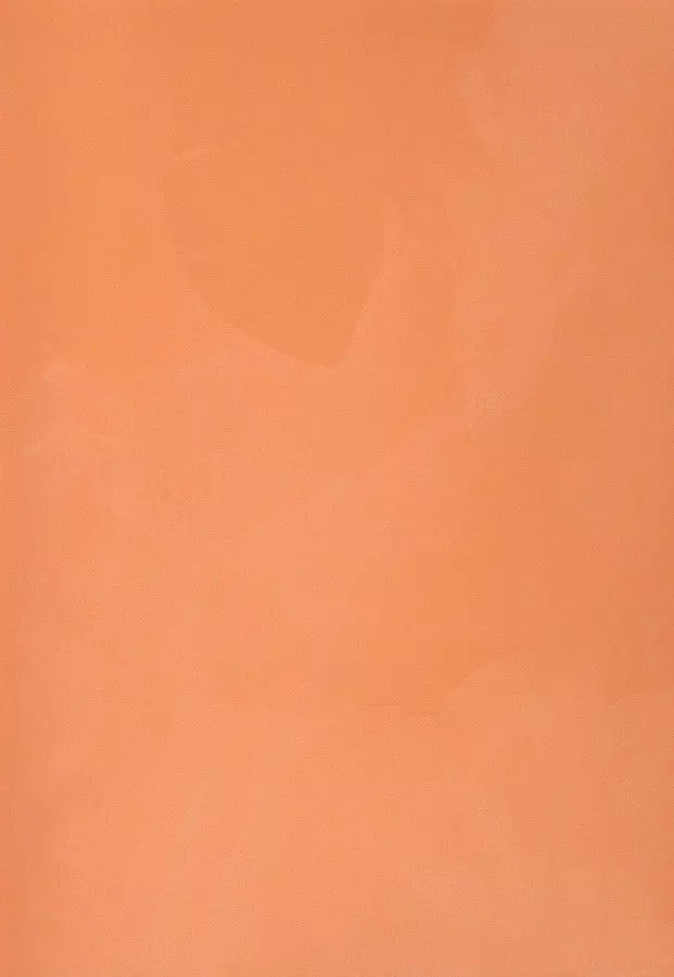VL 10-05