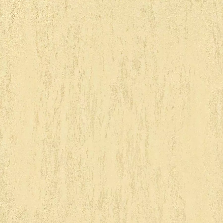 TR 10-19