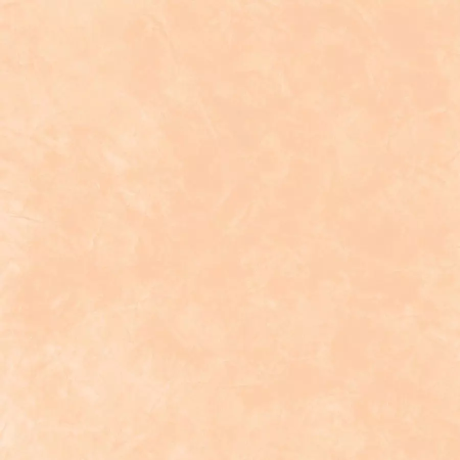 SV 10-61