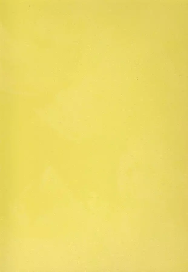 VL 10-06