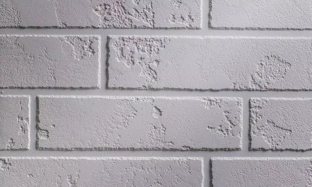 White Wall фото 1
