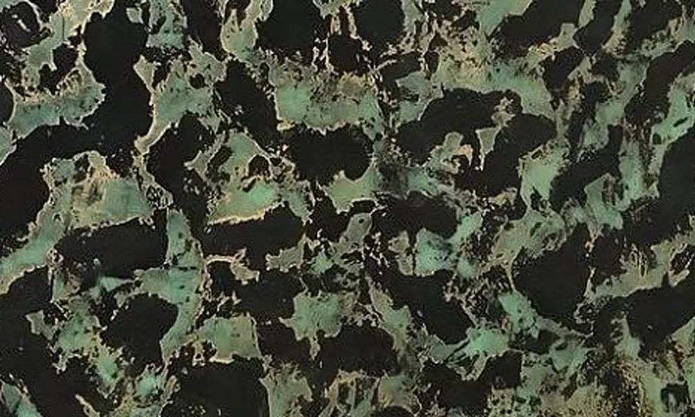 Decorazza Fleur Deco - 1